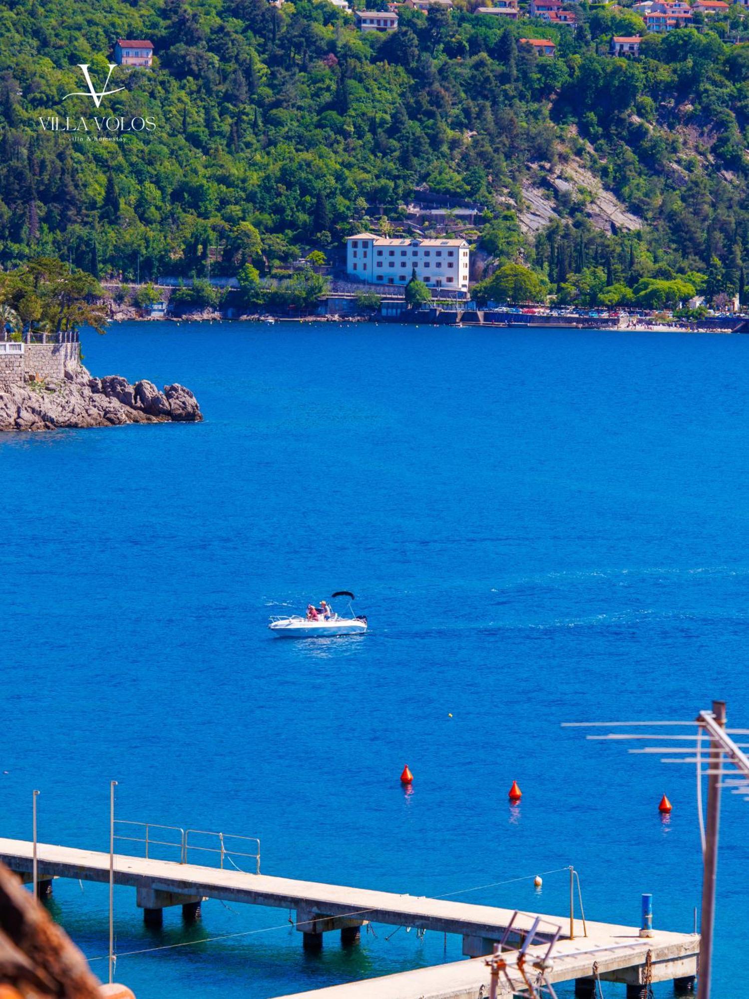 Villa Volos Apartment Karmen With Roof Terrace, Sea View, Free Private Parking オパティヤ エクステリア 写真