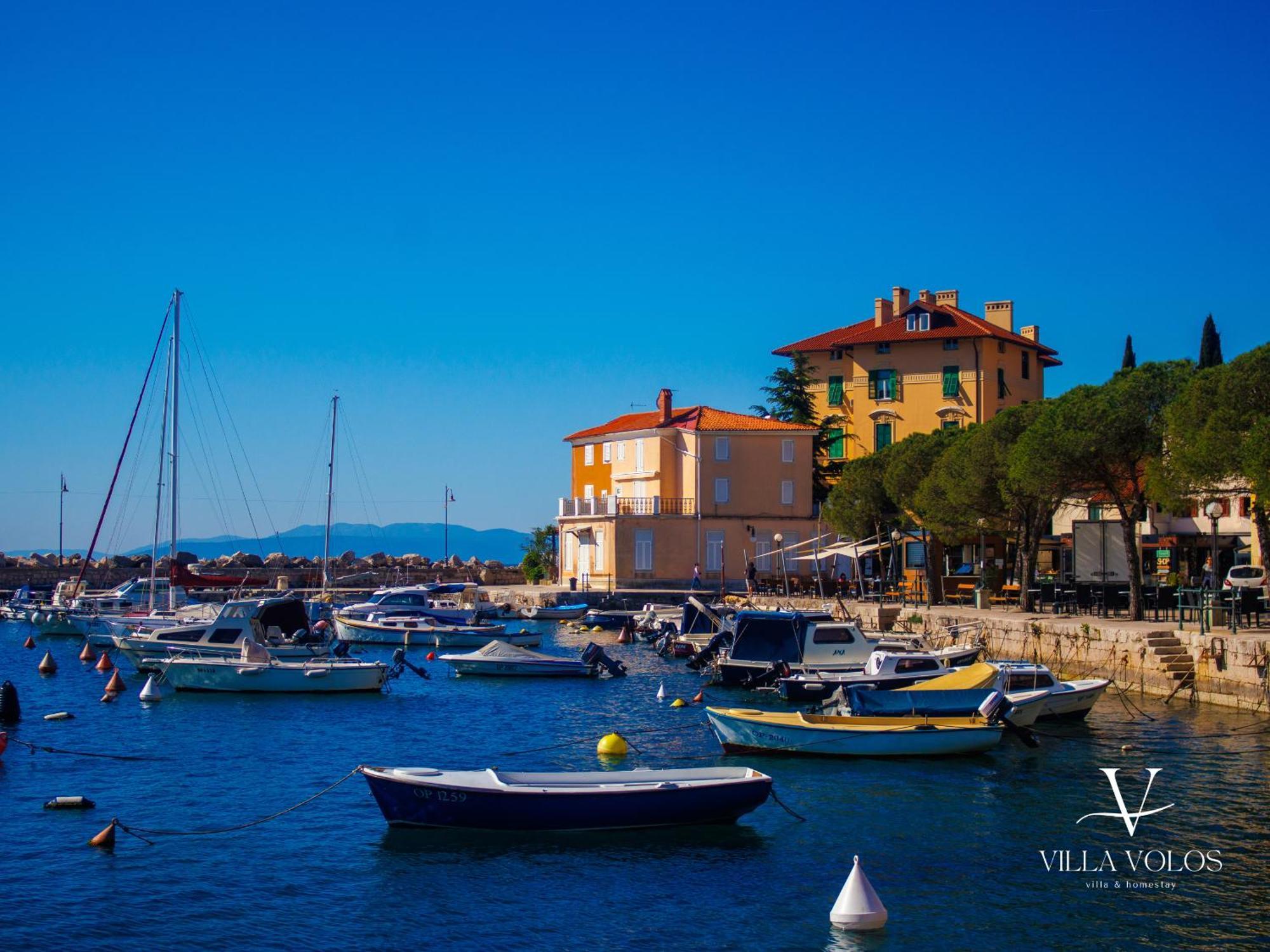 Villa Volos Apartment Karmen With Roof Terrace, Sea View, Free Private Parking オパティヤ エクステリア 写真